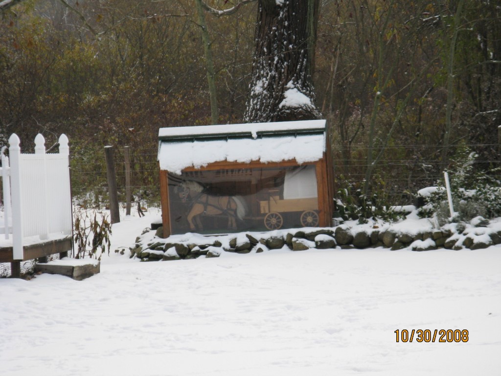parcel photo